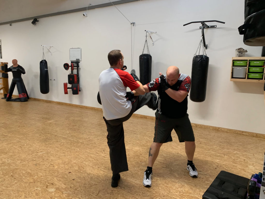Verteidigen mit WingTsun